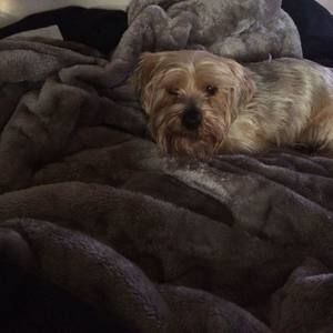 Meet your Posher, Kellie